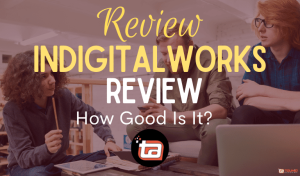indigitalworks review