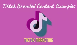 Tiktok Branded Content Examples-Tiktok Marketing